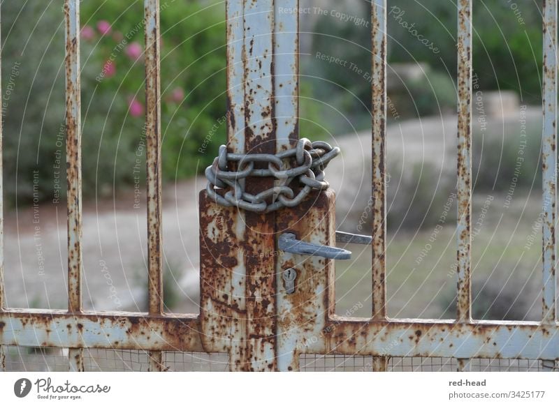 rusty garden gate closed with chain, with blurred background Garden door Closed corona Metal Door lock locked Chain Exterior shot Day Detail Close-up