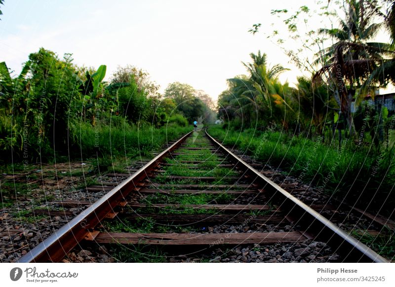 lonely track Gleise Sri Lanka verwildert Eisenbahn wilderness
