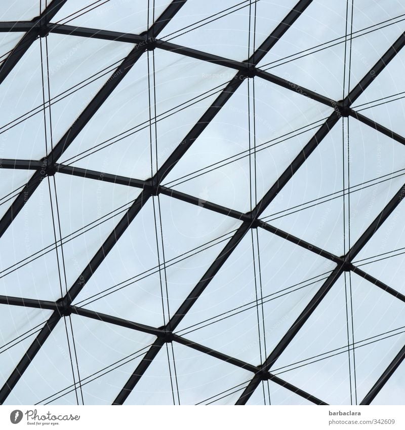 Building materials | Glass and steel Sky Stuttgart Downtown Places Manmade structures Architecture Window Roof Metal Steel Line Stripe Network Bright Tall