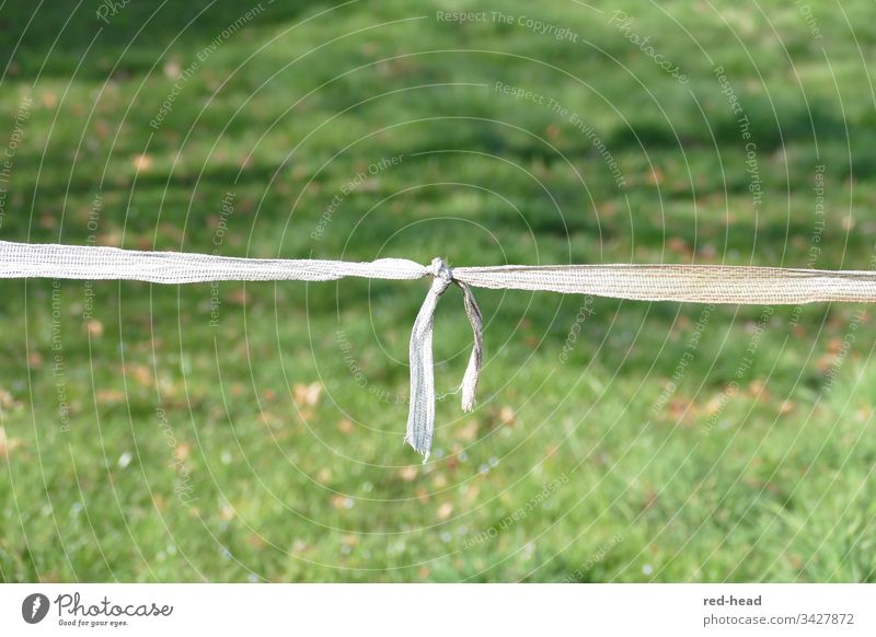 white ribbon with knots in front of green meadow as pasture fence Connection Willow tree Meadow Als Simple Nature Day Environment Green Exterior shot