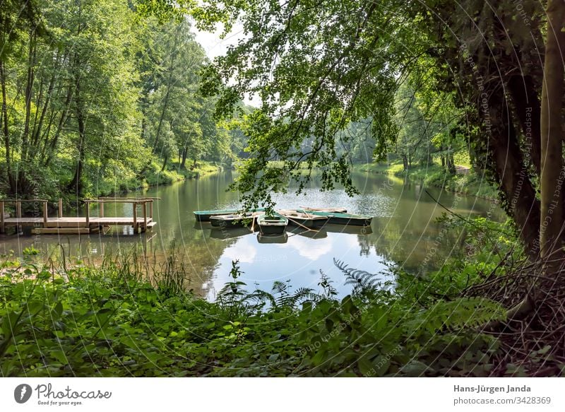 Rowing boats on a mountain lake with wooden jetty in a wooded valley Mountain lake Pond Water pond Rowboat local recreation area Relaxation Calm relaxation