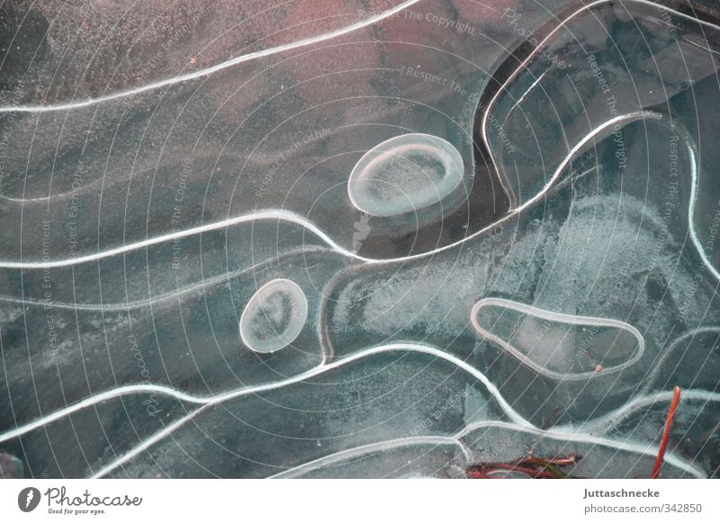 Could also be from just now..... Winter Nature Water Ice Frost Freeze Cold Gray Puddle Frozen Pattern Transparent Bizarre Colour photo Subdued colour