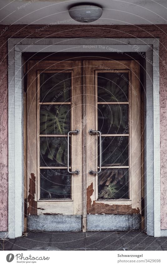 An abandoned entrance door plants Old Entrance Closed Wooden door overgrown locked Weathered