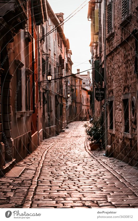 Alley in the old town of Rovinj Derelict run-down Contrast Shadow Copy Space right Light Central perspective Copy Space top Copy Space left Istria Discover