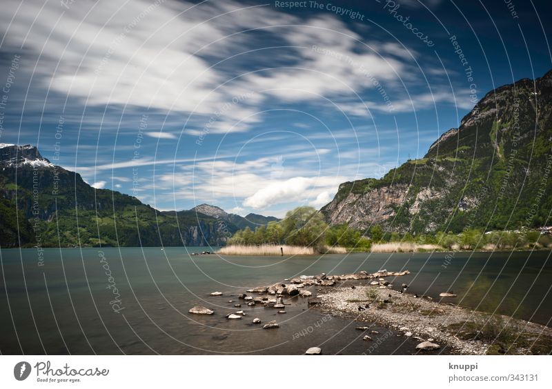 Storm in Flüelen on Lake Lucerne Environment Nature Landscape Elements Earth Air Water Sky Clouds Sun Sunlight Summer Beautiful weather Wind Gale Warmth Tree