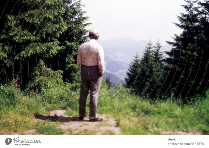 View of the country attention Stand Forest tree Meadow farsightedness on one's own Lonely Man Pants Shirt vacation hiking break mountain mountains Landscape
