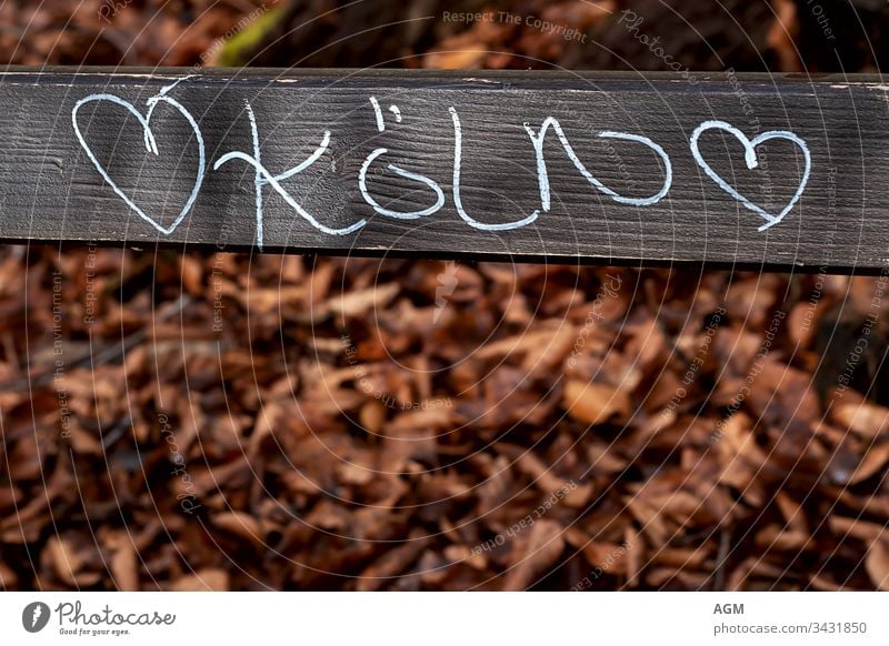 I love Cologne Text Abstract Autumn leaves background Bench Board burnt orange Carnival Chalk drawings City Copy Space creatively Destination Dirty Font Germany