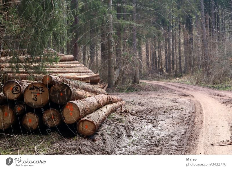 Freshly cut trees in the forest, on the side of a forest road deforestation environmental forestry industry landscape log logging lumber nature pile stack