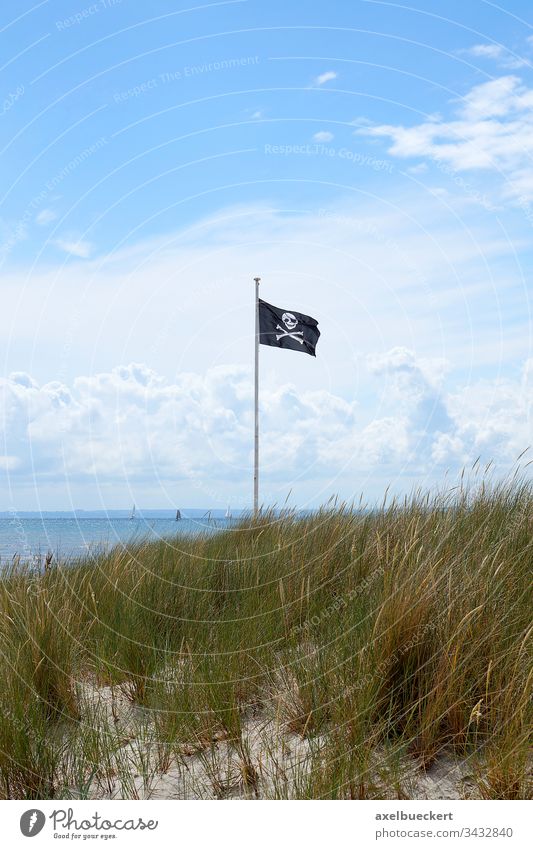 Pirate flag pirate flag skull and crossbones Flag Baltic Sea flagpole Flagpole Black Beach Ocean Summer Water symbol Blow Wind Anarchy piracy Sky Clouds Grass