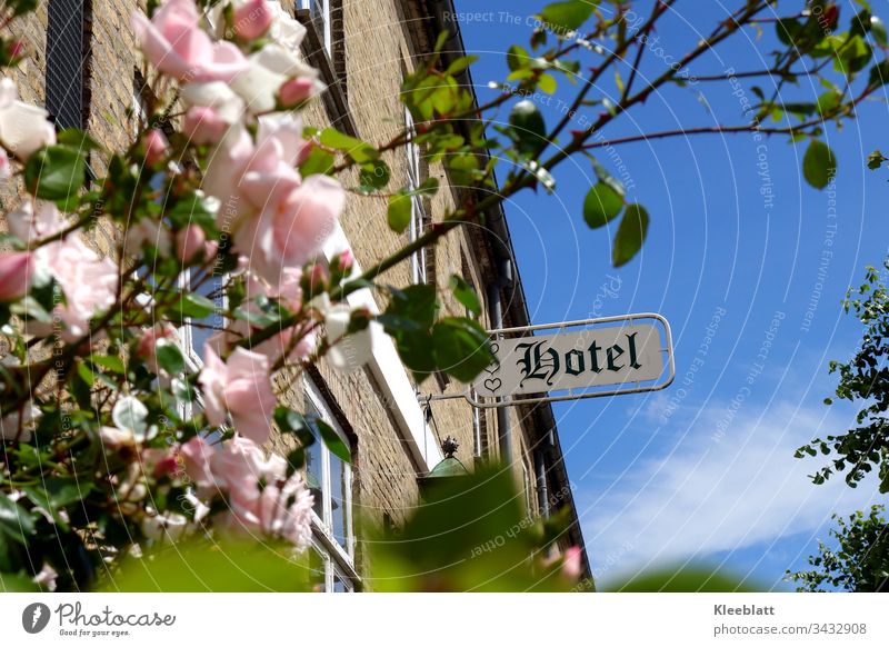 Romantic hotel, rosebush in the foreground HOTEL lettering romantic hotel pink roses old building Wellness Romance Vacation & Travel Nostalgia Hotel built Sky