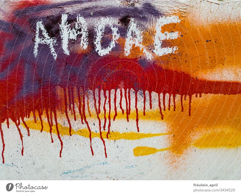 AMORE - lettering and colours on one wall Colour Colour photo Multicoloured Close-up Red Structures and shapes Abstract Deserted Pattern Design Style