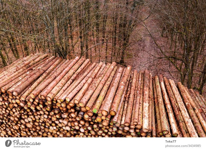 wooden log storage outdoors from above logs branch wood storage forest tree trees tree stem stems texture background brown orange wood pile wooden pile