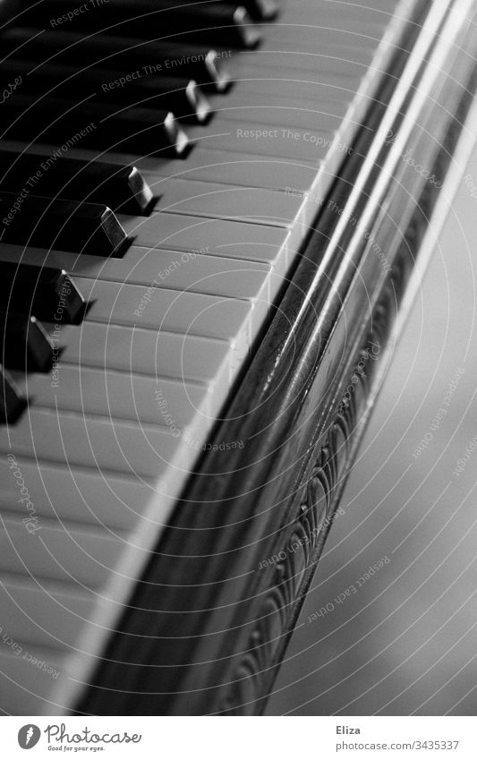 Close-up of a piano with its keys in black and white Piano keyboard Keyboard Concert Copy Space right Musician Interior shot Classical Play piano