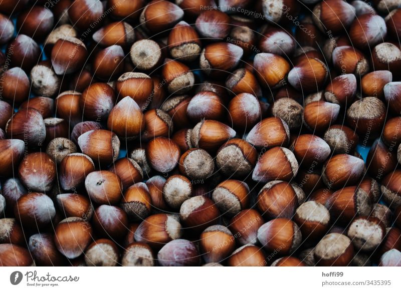 many hazelnuts very close Plate with hazelnuts Hazel brown Round pattern many nuts Detail of the hazelnut Wood Nut brown Husk Sheath Food Brown Nutrition