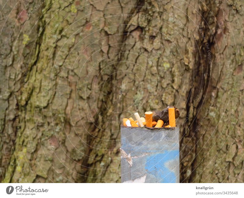 Full ashtray in front of a big tree trunk Cigarette Butt Ashtray out Tree trunk cigarette butt Smoking Nicotine Unhealthy Health hazard Dirty
