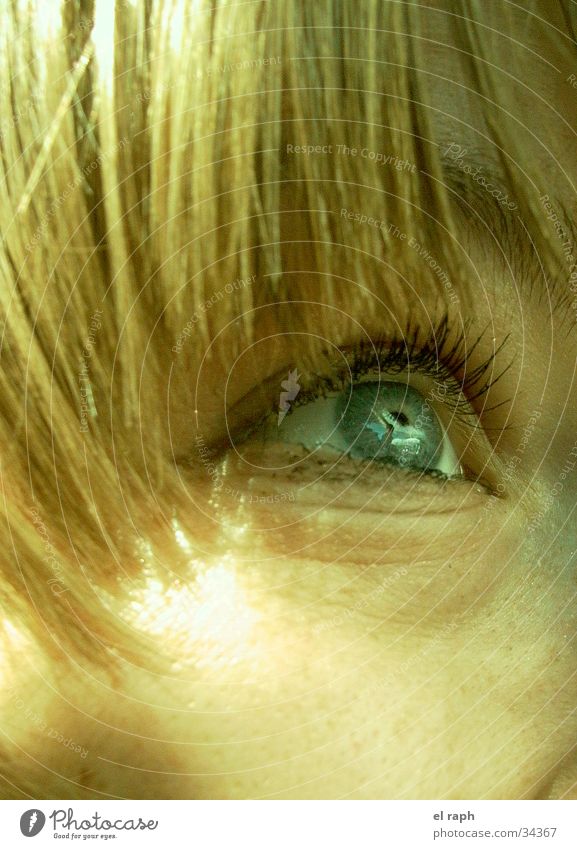 view Eyelash Future Longing Woman Eyes Looking Far-off places Hair and hairstyles
