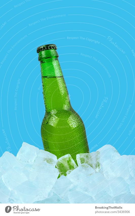 One bottle of cold lager beer on ice cubes over blue background Beer glass green one rocks ale closeup isolated retail display low angle view side copy space
