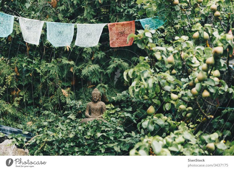 Buddha sculpture on green nature and buddhist prayer flags buddha thailand statue china lotus asian landscape temple religion buddhism day puja old ancient