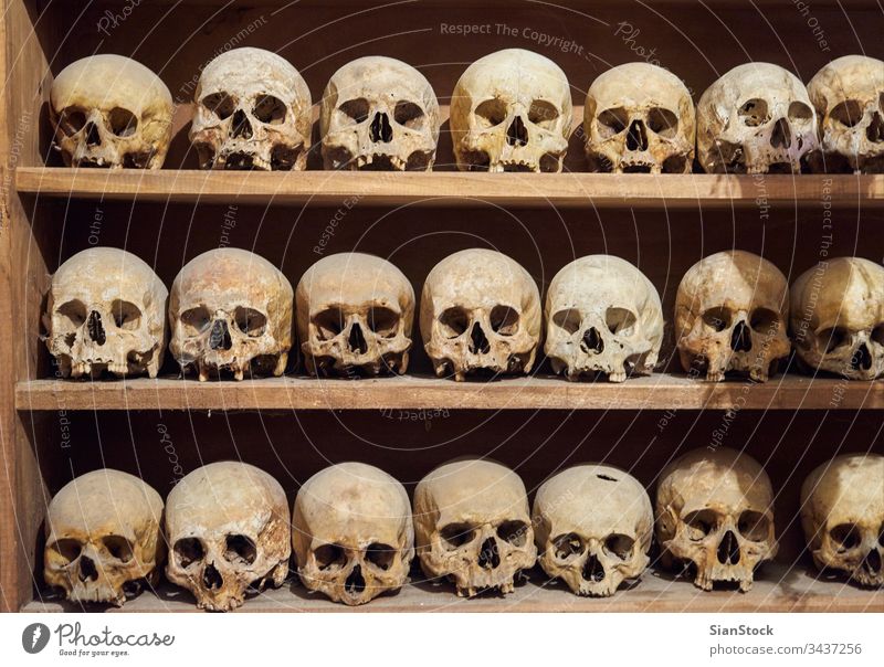 Human skulls in the Monastery of Great Meteoro at Meteora, Greece ossuary church meteora greece skeleton human interior europe bone religion catholic christian