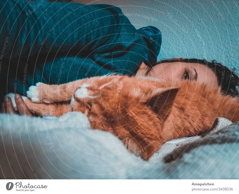 Woman with cat Cat Pet Lie Bed Sleep at home stay at home Cuddling tired coronavirus Corona virus corona crisis Quarantine Weekday Love To console Lovesickness