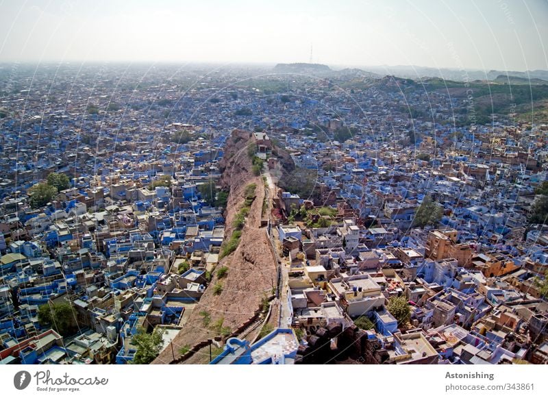 blue city I Environment Nature Sky Horizon Sun Weather Beautiful weather Tree Hill Jodphur Rajasthan Asia India Town House (Residential Structure) Hut Ruin