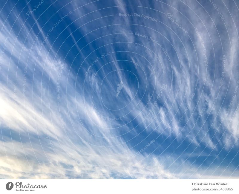 cirrus clouds feather clouds Clouds Sky Blue Moody Exterior shot White Nature Day Weather Beautiful weather Climate Sunlight Summer Environment Climate change