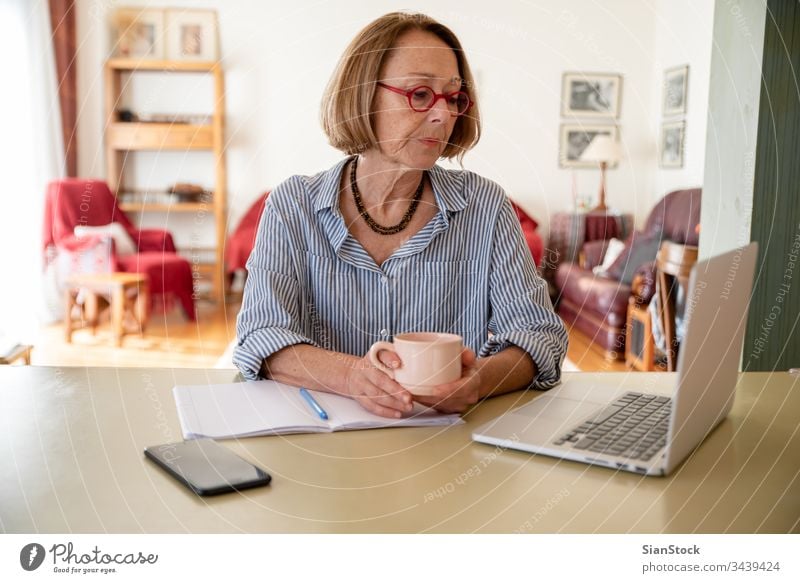 Middle age senior woman working at home using computer female laptop mature people one house person lifestyle desk cheerful drink glasses attractive relax