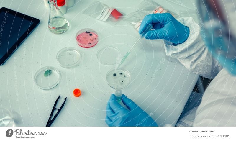 Scientist with a petri dish in the laboratory aerial covid-19 scientist protection gloves virus investigation drop dropper test bacteriological protection suits