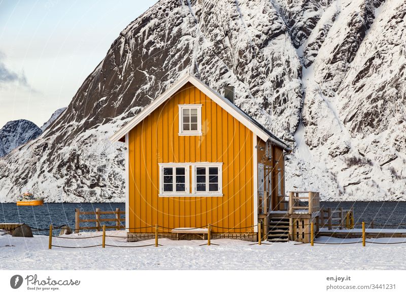 Small yellow house by the fjord in front of snow-covered mountains sacrisoy Lofoten," Lofoten Islands Fence Yellow Travel photography Detached house Idyll