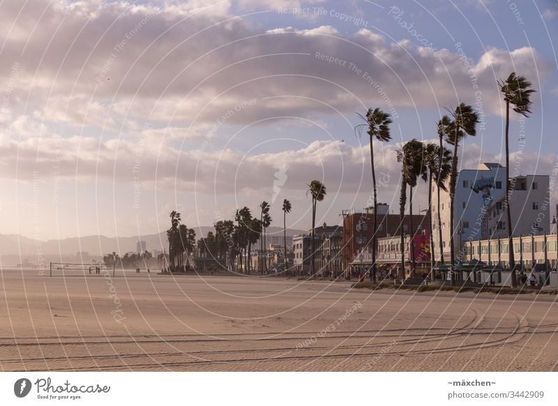 Venice Beach Los Angeles California Vacation & Travel Exterior shot USA sky clouds blue tourism palm tree sunset sunny relaxation vacation houses sand city