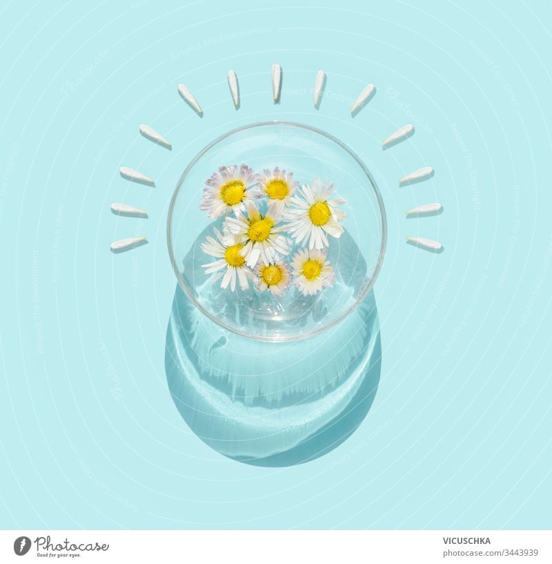 Water bowl with daisies  flowers in sunlight on turquoise blue background. Top view water top view medicine therapy glass herbal beautiful yellow white layout