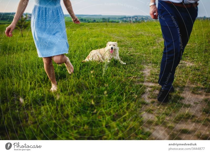 happy dog is having a rest with the owner in the nature. have fun with her dog in park pet people lifestyle love cute happiness animal young green grass outdoor