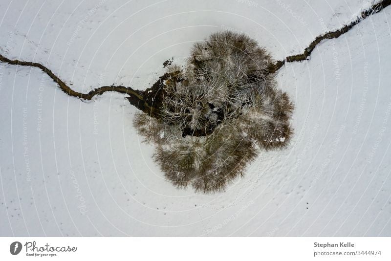 Aerial perspective at a single tree and a crossing little river in a winter top view. snow one creek alone copy space drone calm no person background abstract