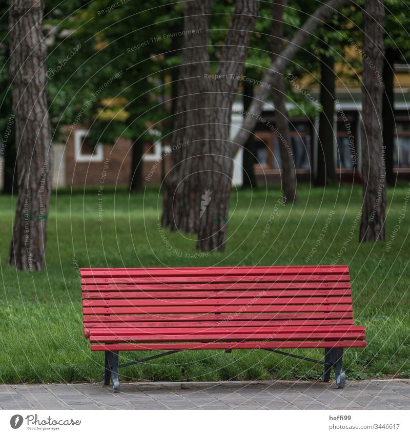 red bench in the park in front of green lawn Bench Red Seating Break Calm Relaxation Deserted Loneliness Meadow Green Shadow Vacation & Travel Day Sit Park