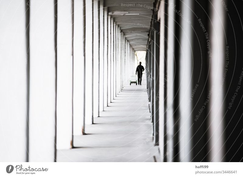 Man in the arcade tunnel Architecture Symmetry Arcade arcades Elegant Facade Wall (building) Line Structures and shapes Human being Column Deep depth of field