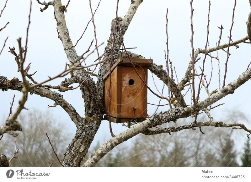 Bird house hanging from the tree with the entrance hole in the shape of a circle bird birdhouse box small animal background branch cute food forest garden