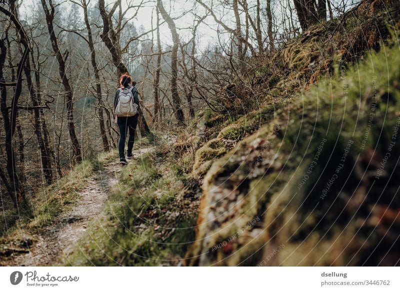 Young woman goes hiking in the forest Wellness Expedition Day Far-off places Camping Harmonious Going Shadow on one's own Well-being Target path Contentment
