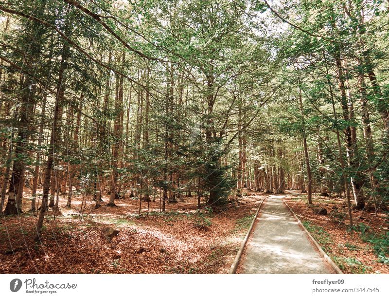 Marked Path in Ordesa Natural Park adventure alpine area autumn blue day europe explore fall female green hike hiking landscape monte perdido mountain mountains