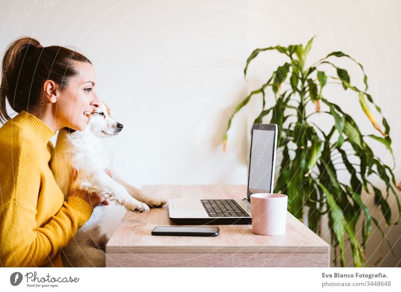 young woman working on laptop at home,cute small dog besides. work from home, stay safe during coronavirus covid-2019 concpt pet office work home mobile phone