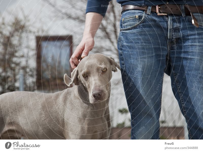 birthday Masculine Brother Hand Legs 1 Human being 18 - 30 years Youth (Young adults) Adults Bushes House (Residential Structure) Window Pants Belt Dog