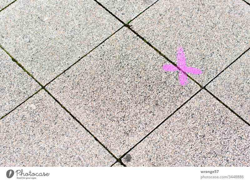 Pink markings on diagonally laid paving slabs Crucifix pink off walkway slabs Diagonal Exterior shot Deserted Colour photo Day Bird's-eye view Copy Space top