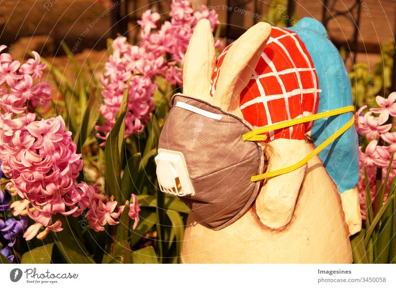 Easter bunny with protective medical face mask on garden background. Concept of Easter and quarantine during Coronavirus Covid-19 . Easter in the concept of Corona Days