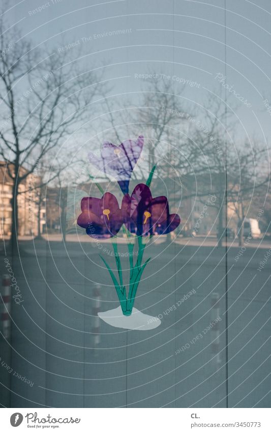 painted tulips on a windowpane Flower Window Tulip Window pane reflection Screening Disk Slat blinds Street Colour photo Deserted Day Exterior shot