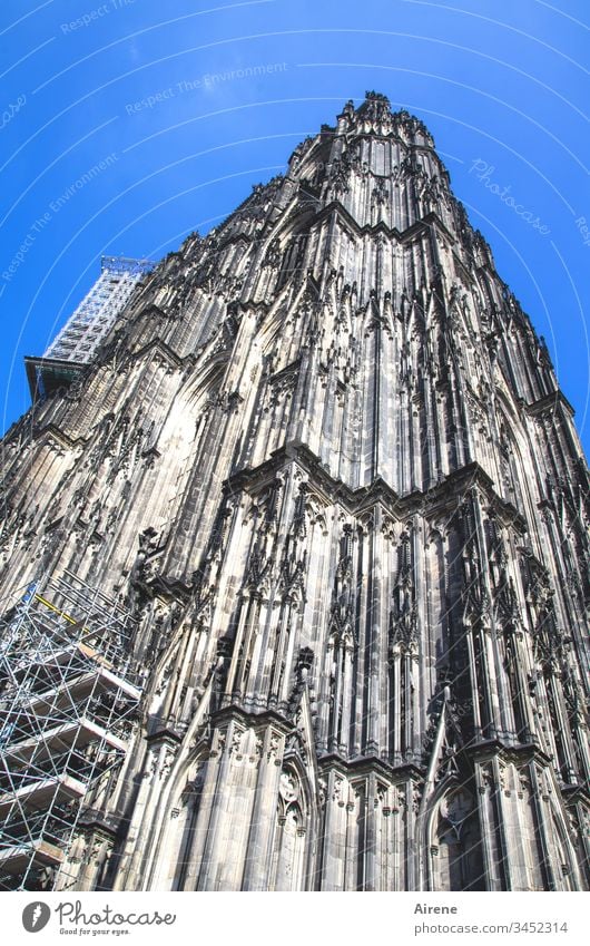 Bau an der Kunst: Renovation work on Cologne Cathedral Tower Tall Blue Religion and faith Worm's-eye view Blue sky Town Neutral Background Church Architecture