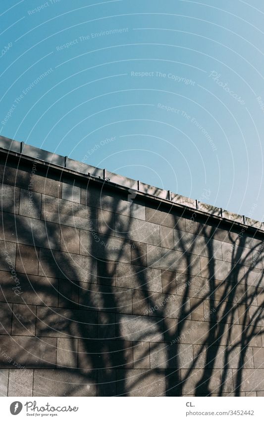 shadow of a tree on a wall Shadow Tree Wall (building) Part of a building Building Architecture Deserted Exterior shot Colour photo Wall (barrier) Day Gray