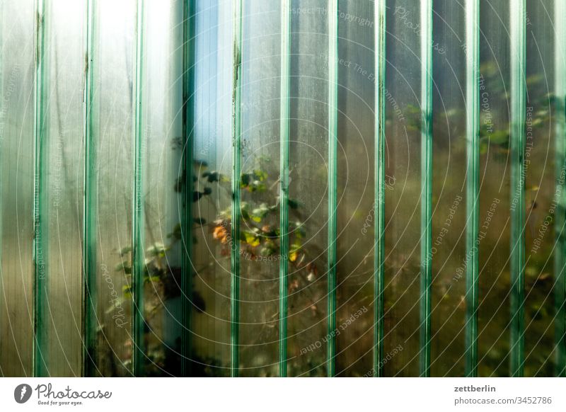 Glass wall on the outside spring Spring Deserted Copy Space Border Wall (barrier) Transparent transparent translucent Real estate neighbourhood Neighbor