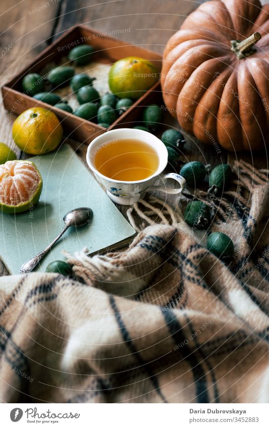 Autumn still life. Tea, pumpkin and and plaid lifestyle fall concept cup autumn background season cozy blanket thanksgiving october wooden calm home comfort