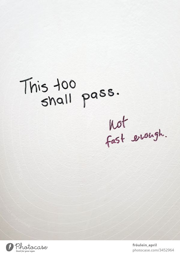 This too shall pass - Text on white wall Communication White Emotions Wishes Hope Black Characters Deserted Letters (alphabet) Colour photo Neutral Background
