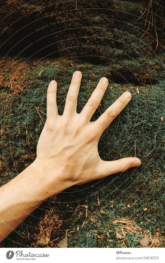 Hand on moss Nature Moss Forest Exterior shot Plant Green Colour photo Macro (Extreme close-up) Close-up Environment Detail Foliage plant Fingers feel
