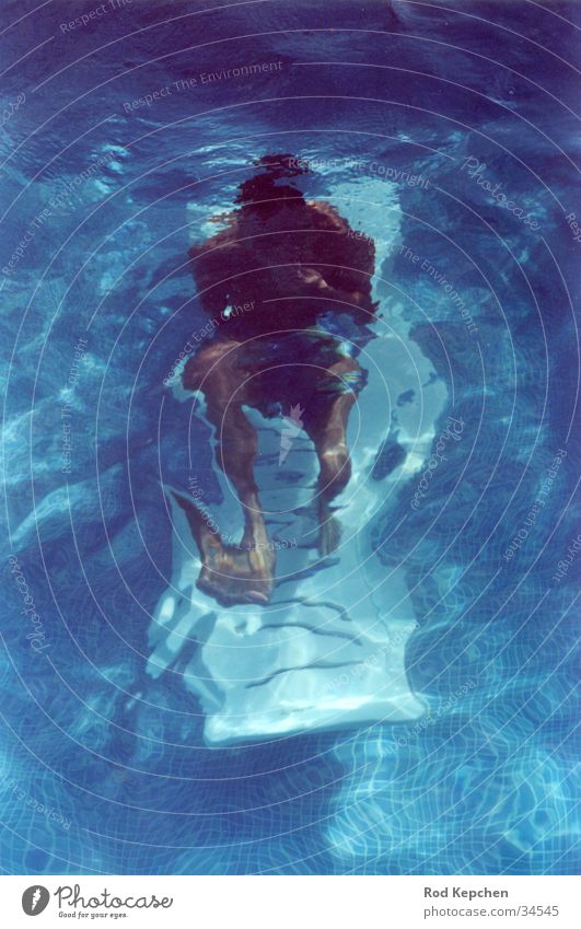 Underwater living Underwater photo Man Couch Summer Ocean Dive Calm Water Sun underwater Human being Swimming & Bathing